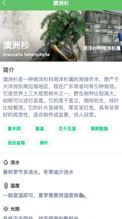 绿萌花园截图1