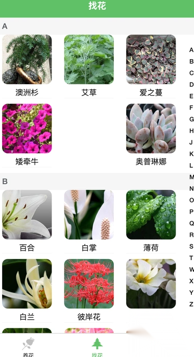 绿萌花园截图2
