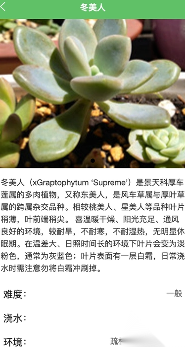 绿萌花园截图3