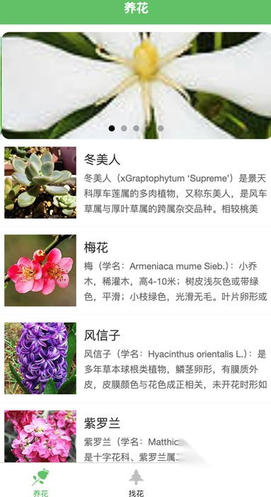 绿萌花园截图0