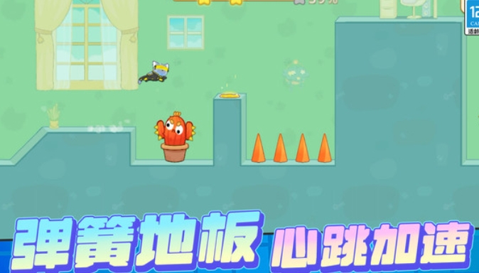 宠物救援