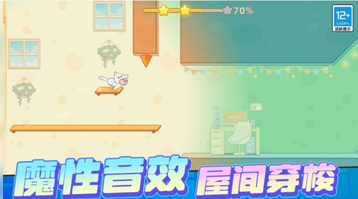 宠物救援
