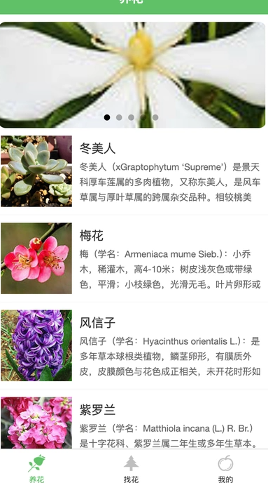绿萌花园