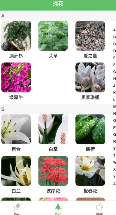 绿萌花园