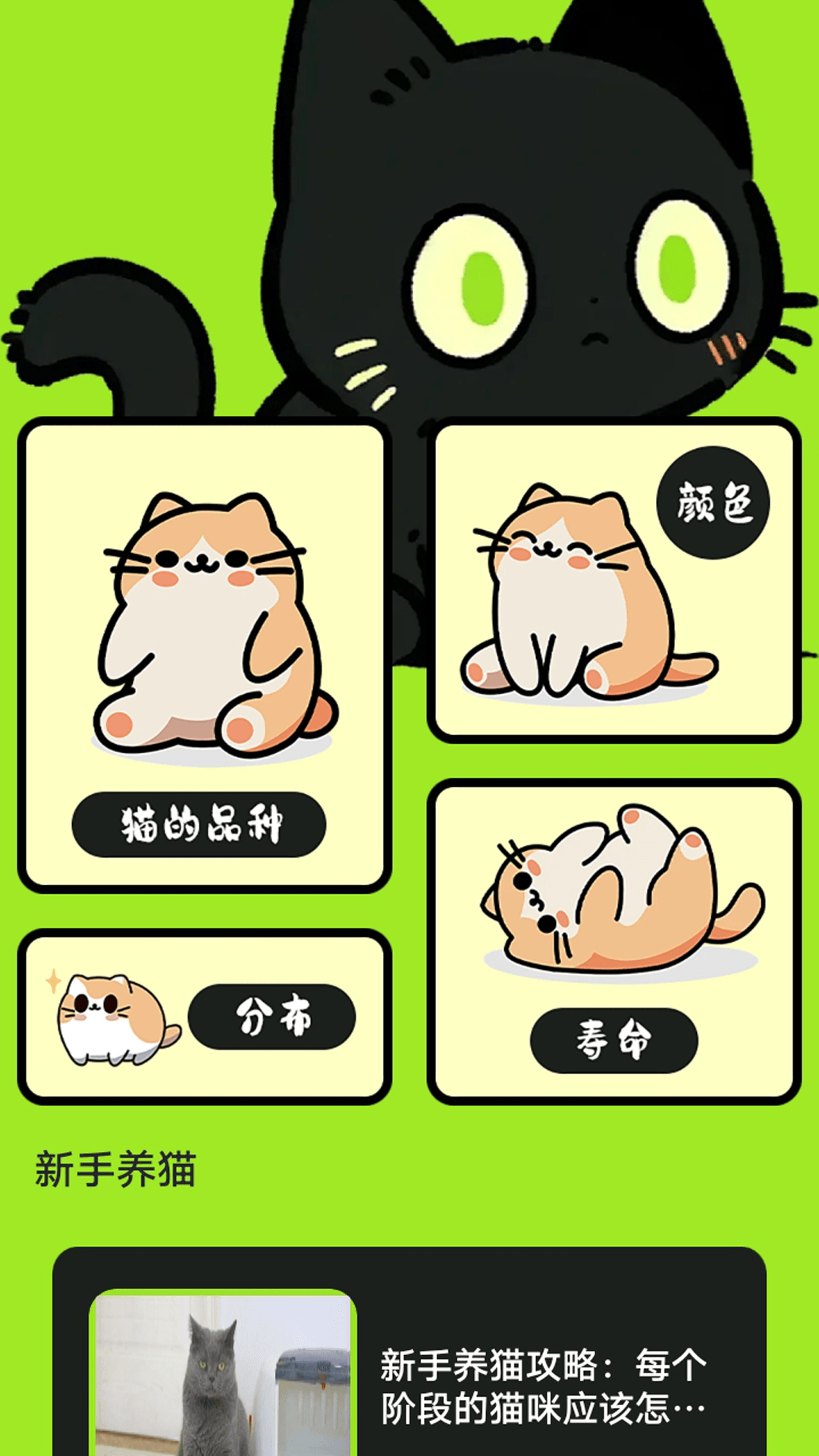 村庄叮叮猫截图0