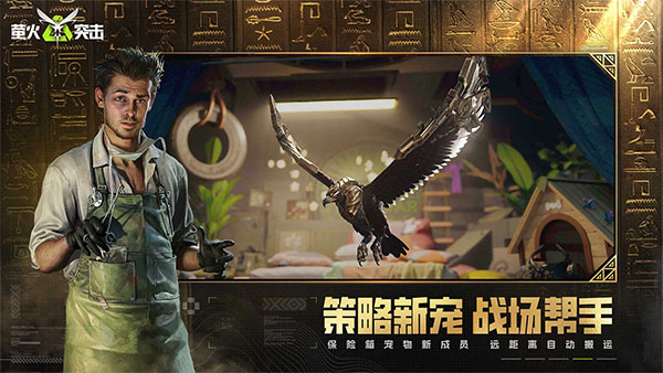 萤火突击正版截图4
