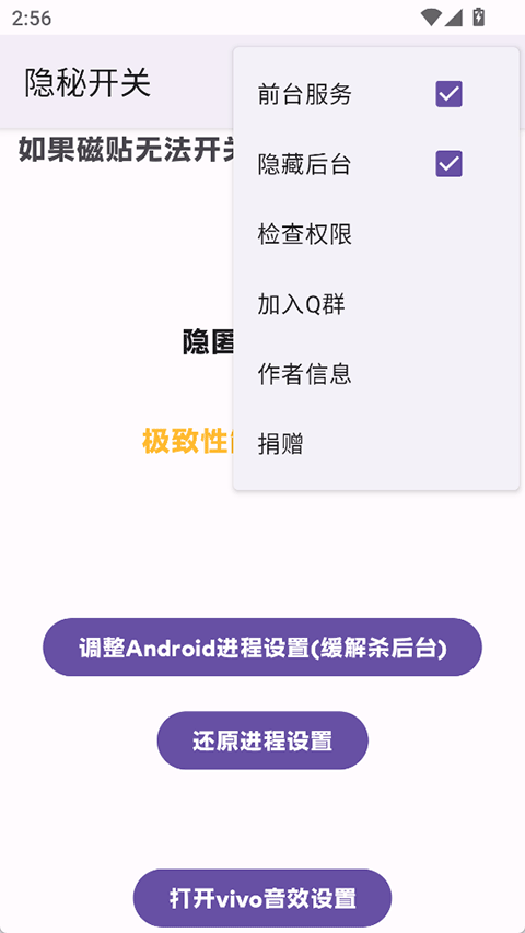 隐秘开关截图1