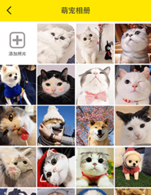 猫语交流翻译器