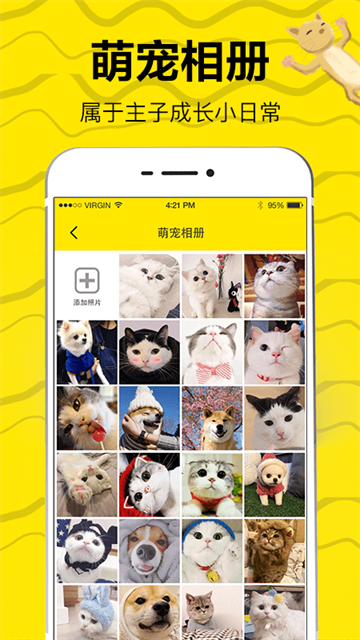 猫语交流翻译器截图3