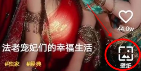 豹壁纸