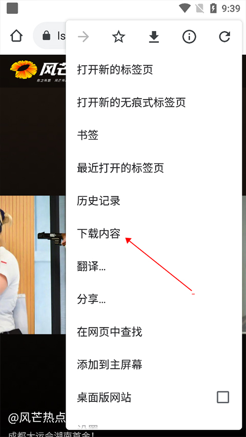 风芒短剧正版