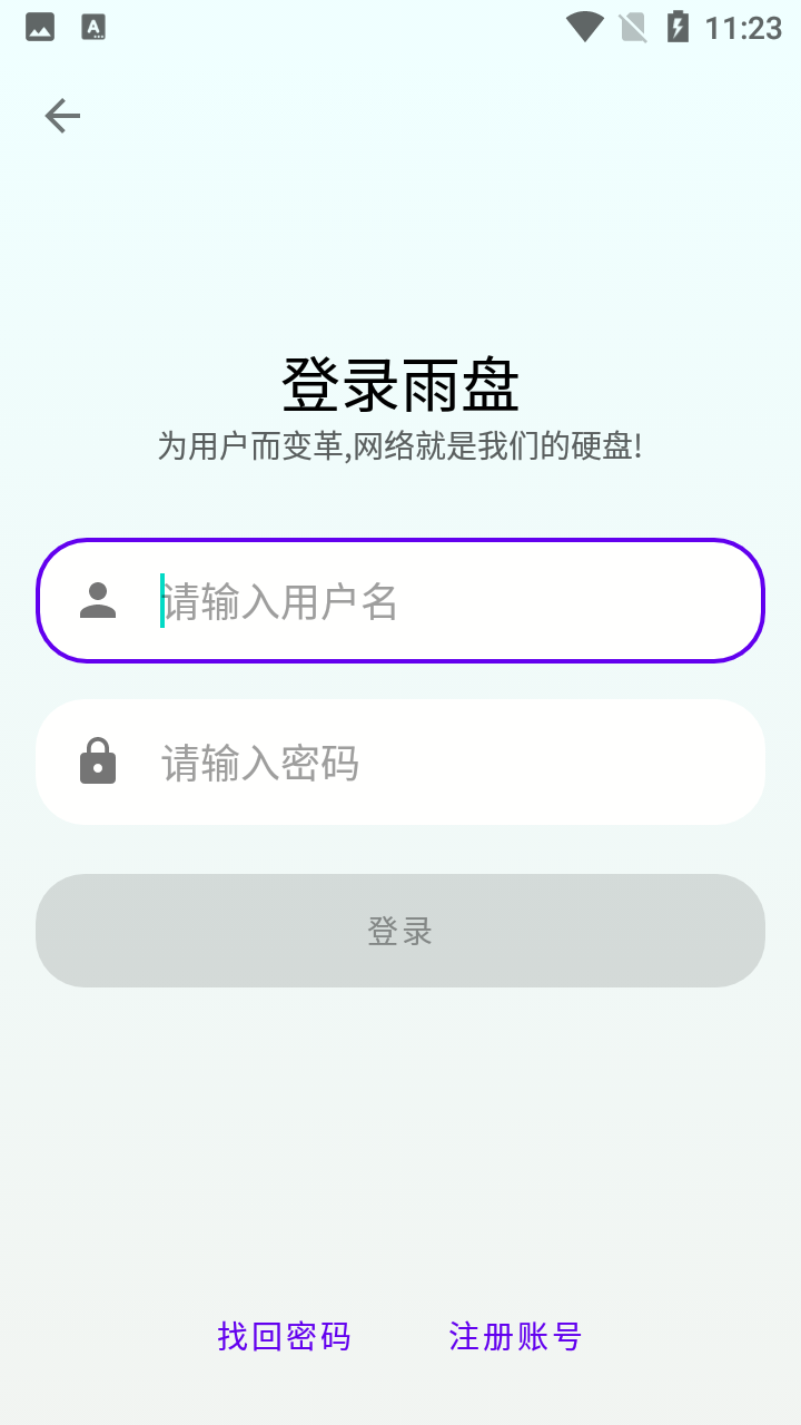 雨盘截图3