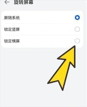 bobo浏览器黑色版