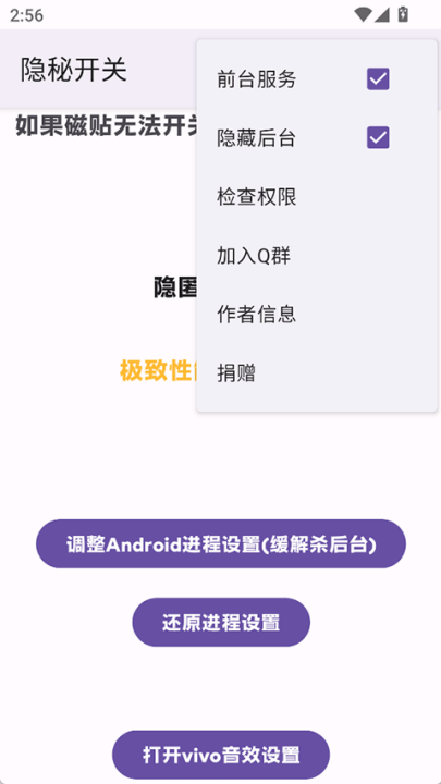 隐秘开关