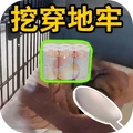 开心寻宝1