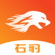 右豹推广正版