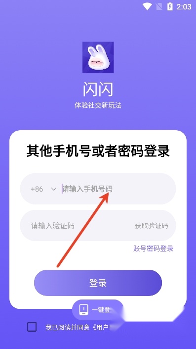 闪闪最新版