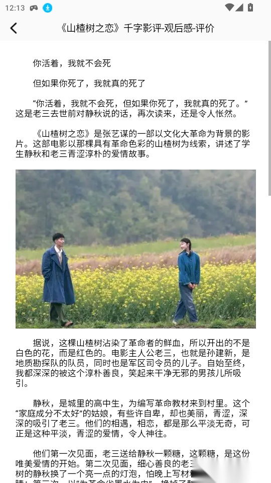 海鸥影评最新版
