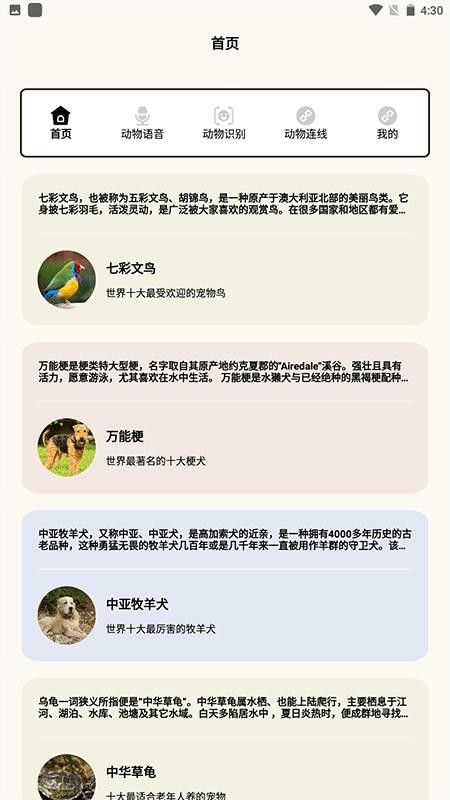 动物世界i免费版