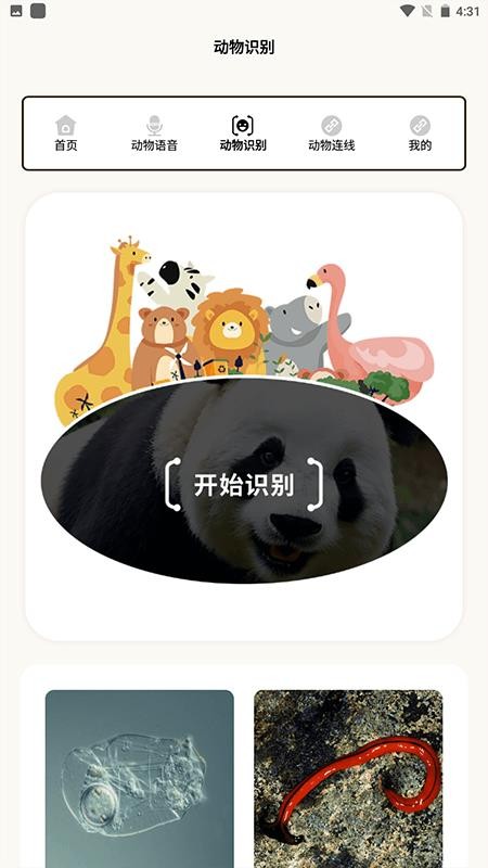 动物世界i免费版截图1
