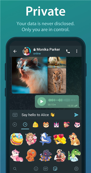 telegraph最新版截图1