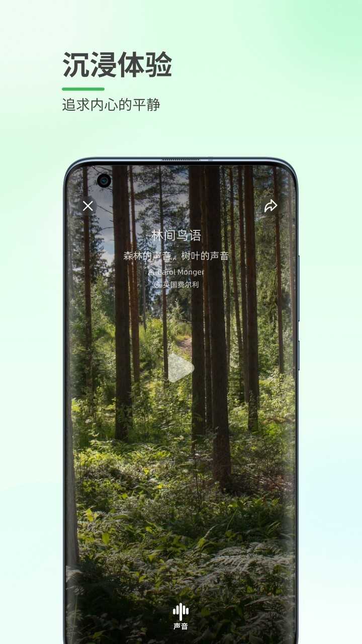 森林白噪音截图3
