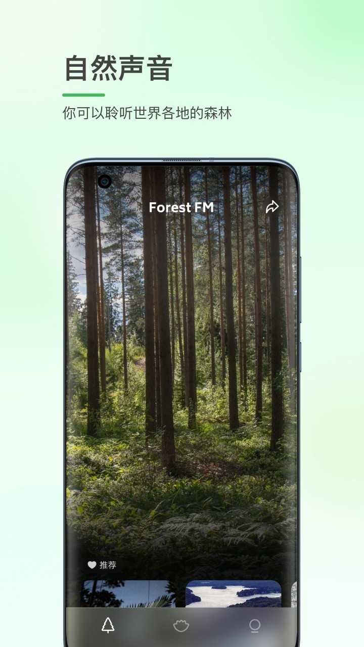 森林白噪音截图2