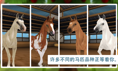 照顾马儿们截图3
