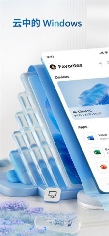 WindowsApp