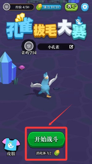 孔雀拔毛大赛中文版