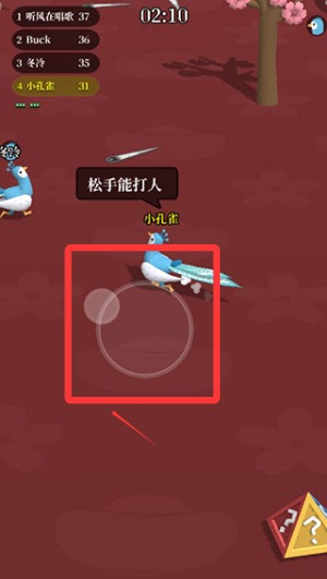 孔雀拔毛大赛中文版