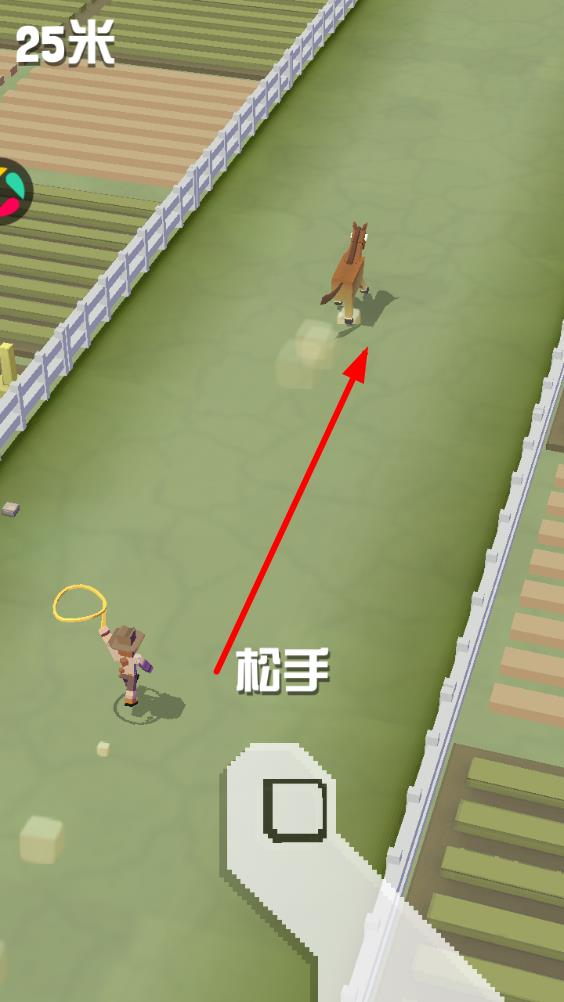 2025疯狂动物园