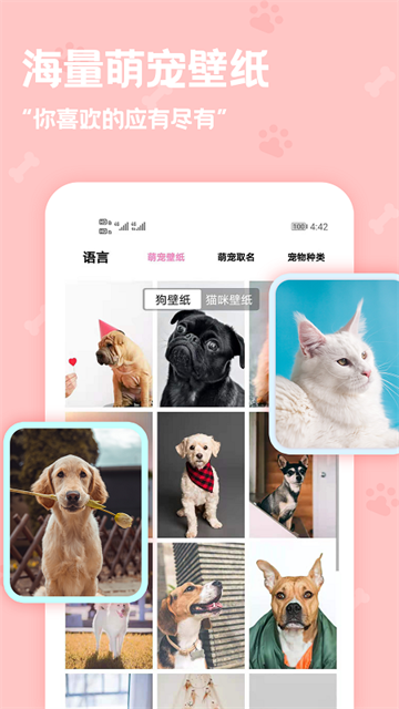 动物语言翻译器免费版截图0