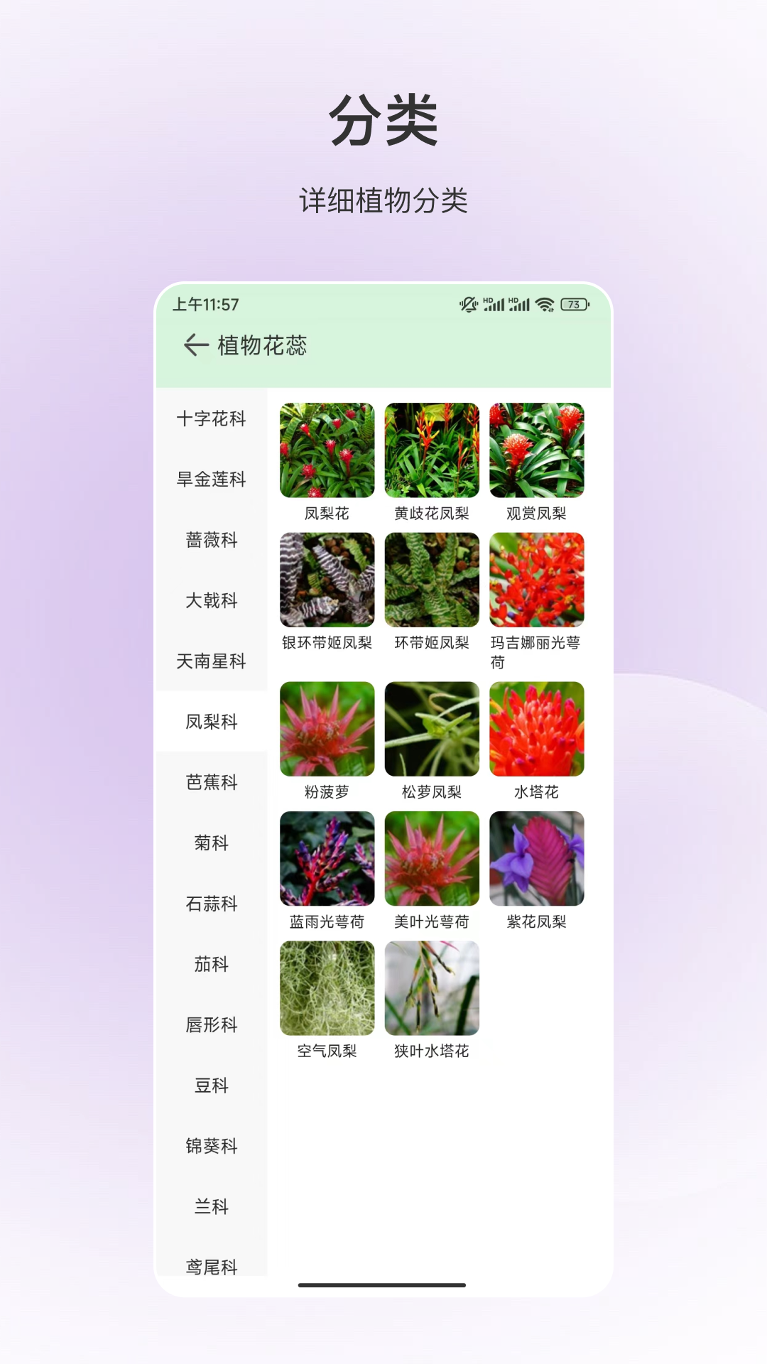 动物识别截图2