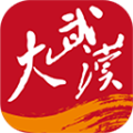 大武汉最新版