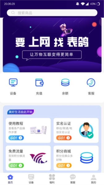 表鸽