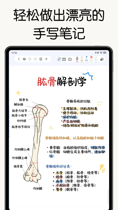 自由笔记  安卓版截图3