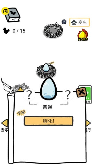 小鸡真奇怪
