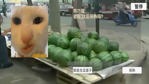 猫meme搞怪冒险截图2