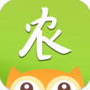 农卷风正版