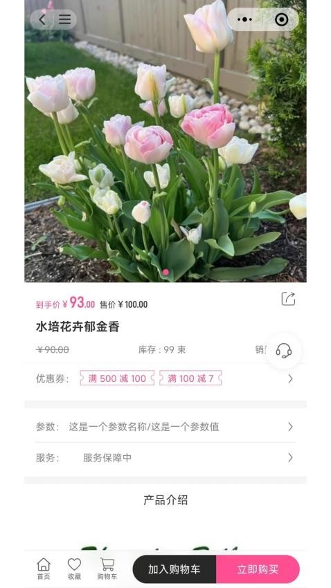 七彩荔枝手机版截图2