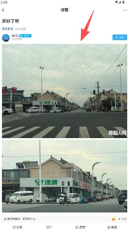 勋章树