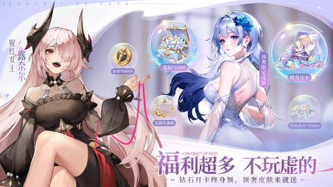 命运圣契截图1