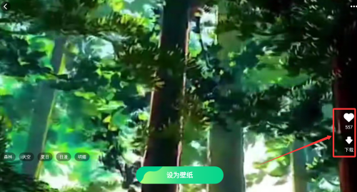 天天免费换壁纸最新版