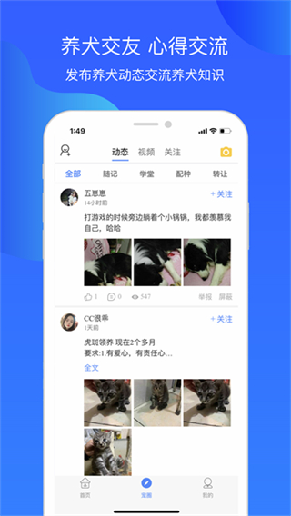 犬卫士安卓版截图3