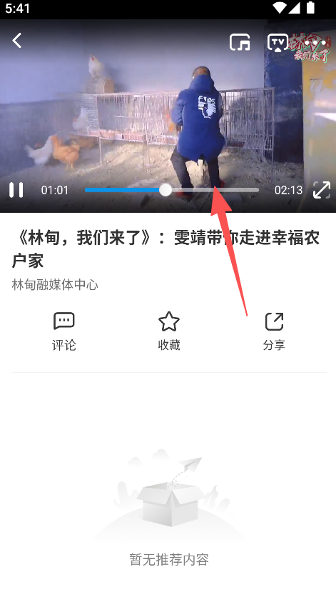 掌上林甸