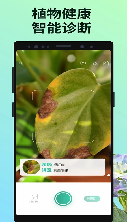 PictureThis解锁高级版截图2