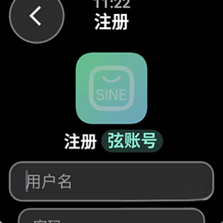 弦应用商店