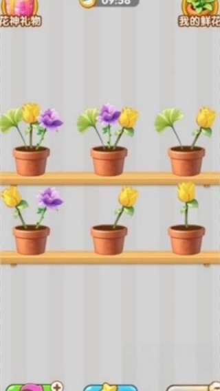 花团锦绣