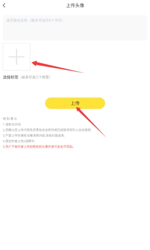 小喵壁纸